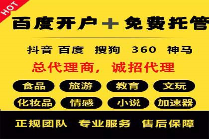 搜索引擎营销（SEM）在本地市场的投放案例